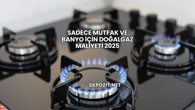 Sadece Mutfak ve Banyo İçin Doğalgaz Maliyeti 2025