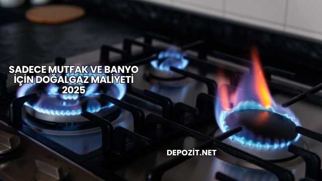 Sadece Mutfak ve Banyo İçin Doğalgaz Maliyeti 2025