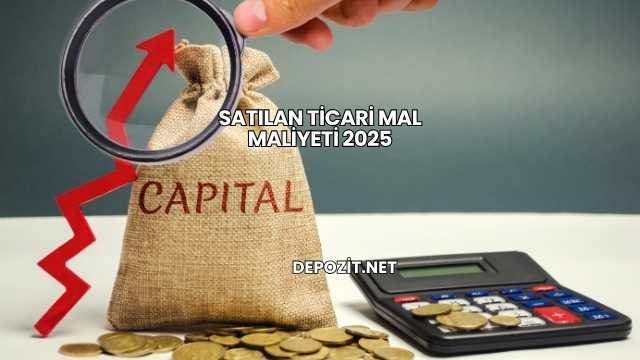 Satılan Ticari Mal Maliyeti 2025