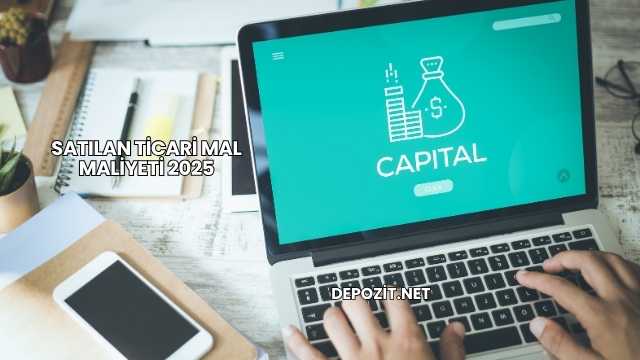Satılan Ticari Mal Maliyeti 2025