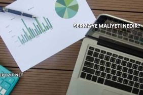 Sermaye Maliyeti Nedir?