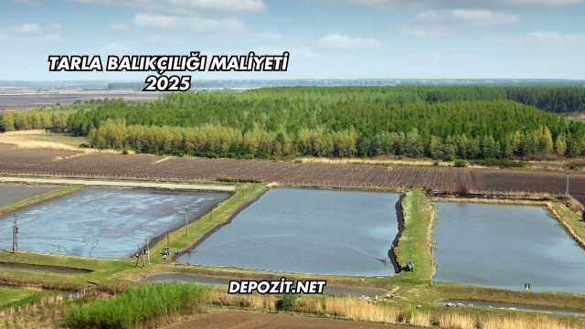 Tarla Balıkçılığı Maliyeti 2025