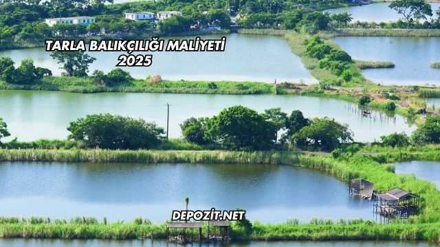 Tarla Balıkçılığı Maliyeti 2025