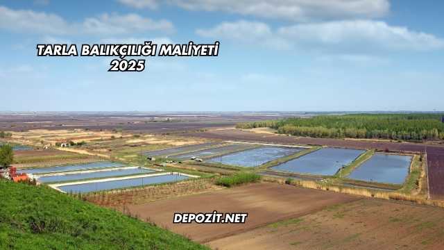 Tarla Balıkçılığı Maliyeti 2025