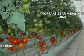 Topraksız Tarım Maliyeti 2025