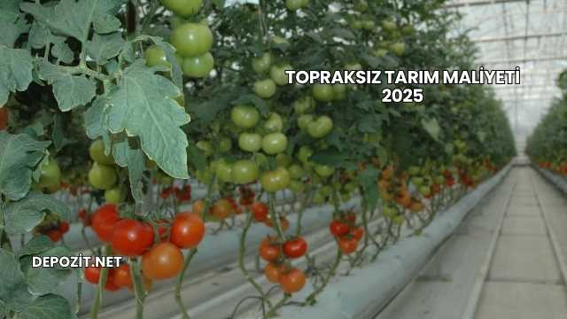 Topraksız Tarım Maliyeti 2025