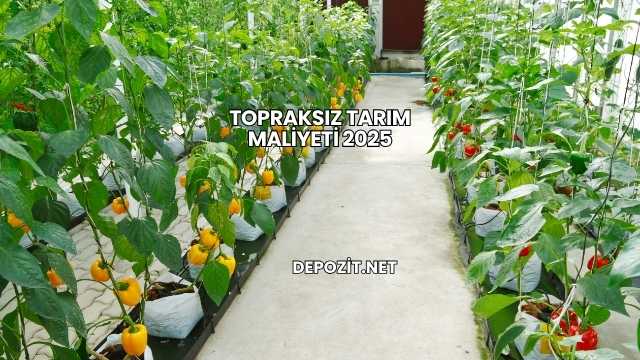 Topraksız Tarım Maliyeti 2025