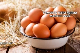 Yumurta Tesisi Kurma Maliyeti 2025
