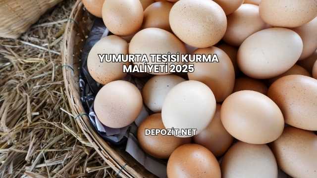 Yumurta Tesisi Kurma Maliyeti 2025