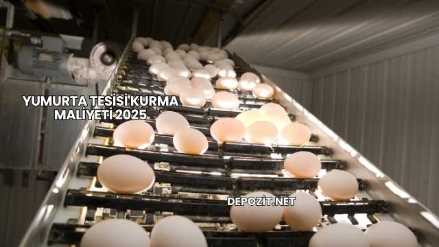 Yumurta Tesisi Kurma Maliyeti 2025