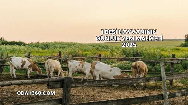 1 Besi Hayvanının Günlük Yem Maliyeti 2025