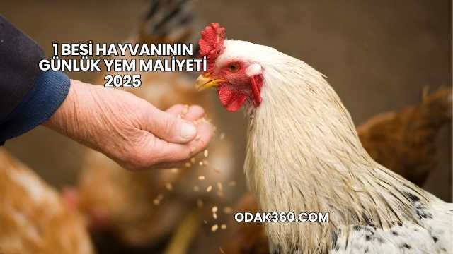 1 Besi Hayvanının Günlük Yem Maliyeti 2025