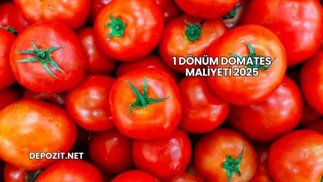 1 Dönüm Domates Maliyeti 2025