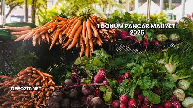 1 Dönüm Pancar Maliyeti 2025
