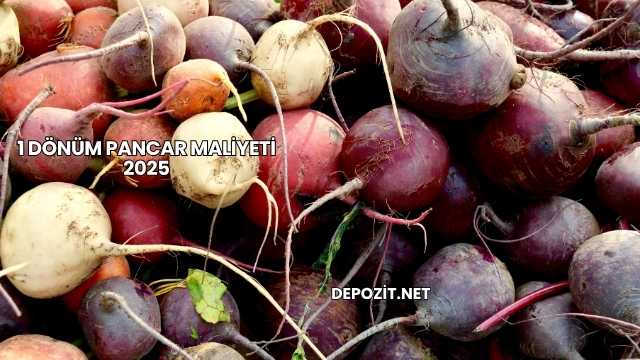 1 Dönüm Pancar Maliyeti 2025