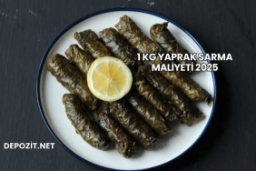 1 Kg Yaprak Sarma Maliyeti 2025
