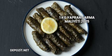 1 Kg Yaprak Sarma Maliyeti 2025