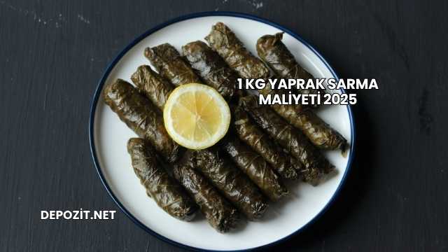 1 Kg Yaprak Sarma Maliyeti 2025