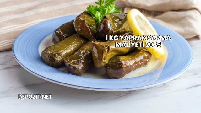 1 Kg Yaprak Sarma Maliyeti 2025