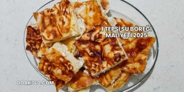 1 Tepsi Su Böreği Maliyeti 2025