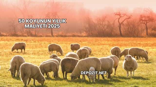 50 Koyunun Yıllık Maliyeti 2025