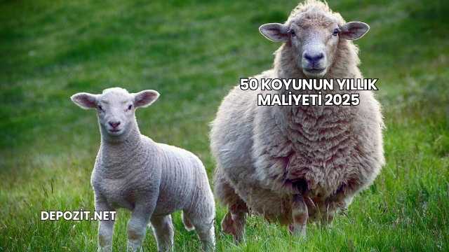 50 Koyunun Yıllık Maliyeti 2025