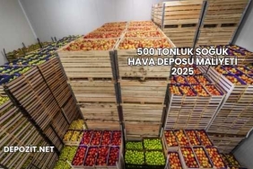 500 Tonluk Soğuk Hava Deposu Maliyeti 2025