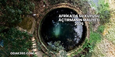 Afrika'da Su Kuyusu Açtırmanın Maliyeti 2025