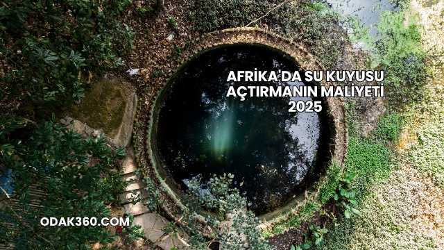 Afrika'da Su Kuyusu Açtırmanın Maliyeti 2025