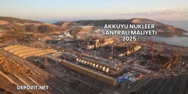 Akkuyu Nükleer Santrali Maliyeti 2025