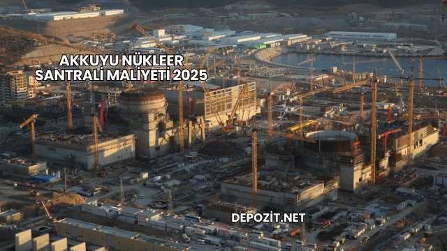 Akkuyu Nükleer Santrali Maliyeti 2025