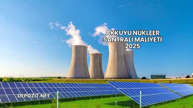 Akkuyu Nükleer Santrali Maliyeti 2025