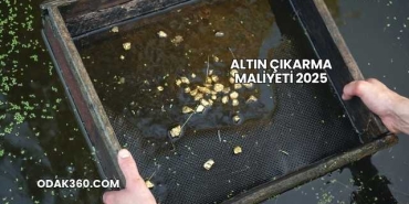 Altın Çıkarma Maliyeti 2025