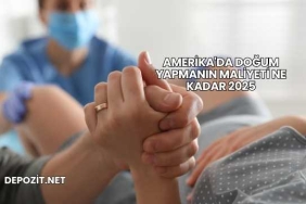 Amerika'da Doğum Yapmanın Maliyeti Ne Kadar 2025