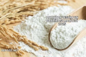 Anahtar Teslim Un Fabrikası Maliyeti 2025