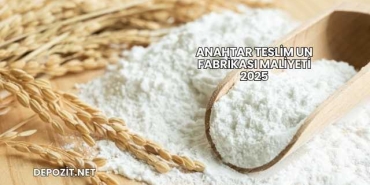 Anahtar Teslim Un Fabrikası Maliyeti 2025