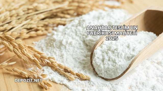 Anahtar Teslim Un Fabrikası Maliyeti 2025