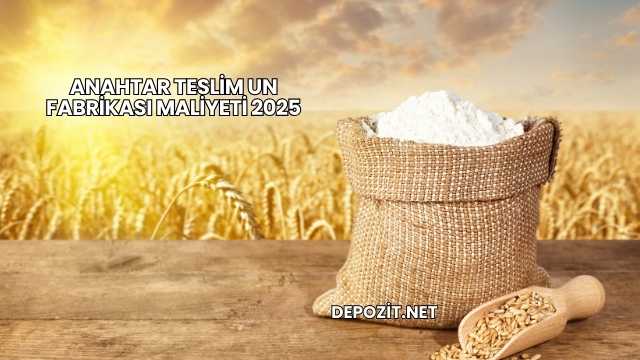 Anahtar Teslim Un Fabrikası Maliyeti 2025