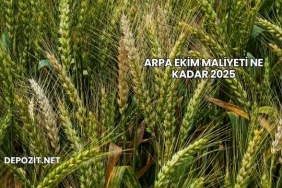 Arpa Ekim Maliyeti Ne Kadar 2025