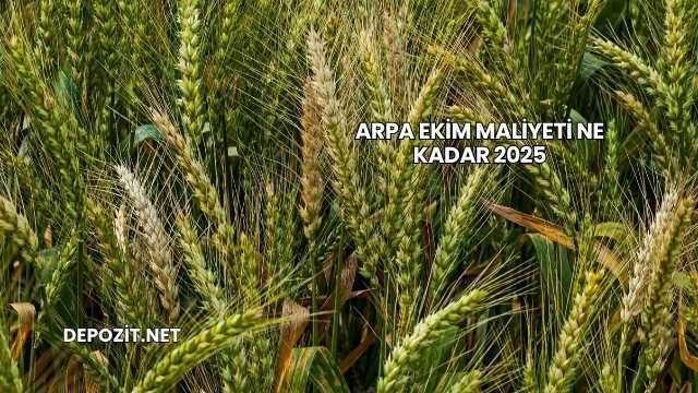 Arpa Ekim Maliyeti Ne Kadar 2025