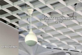 Asma Tavan Maliyeti 2025