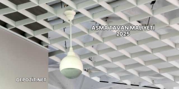 Asma Tavan Maliyeti 2025