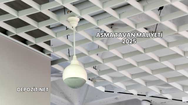 Asma Tavan Maliyeti 2025