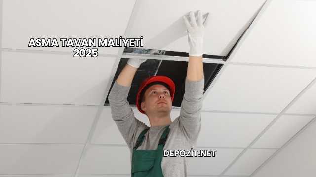 Asma Tavan Maliyeti 2025