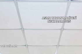Asma Tavan Maliyeti Ne Kadar 2025