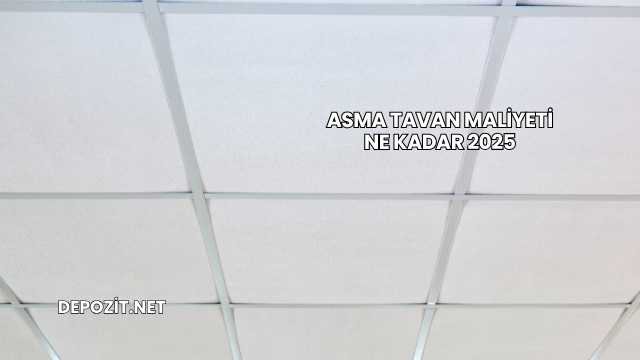 Asma Tavan Maliyeti Ne Kadar 2025