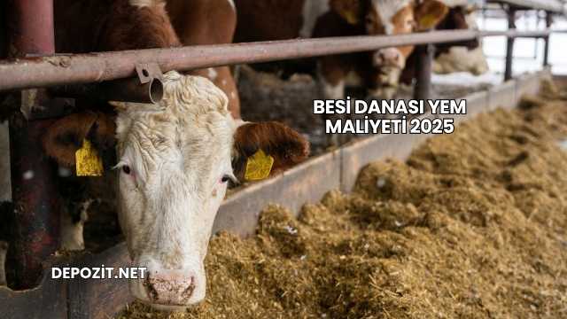 Besi Danası Yem Maliyeti 2025