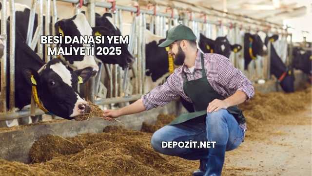 Besi Danası Yem Maliyeti 2025