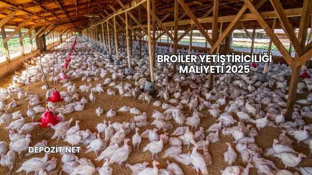 Broiler Yetiştiriciliği Maliyeti 2025