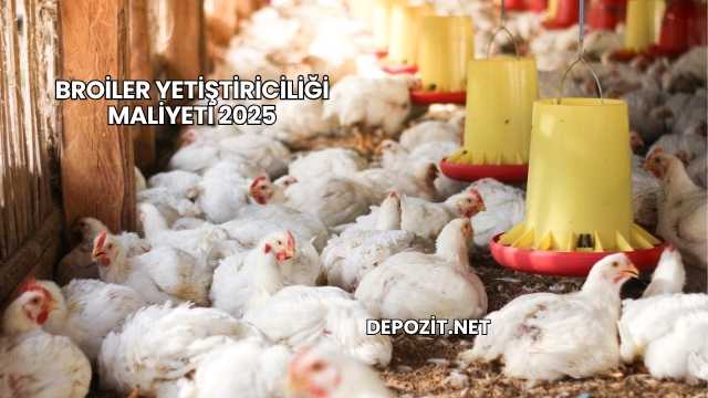 Broiler Yetiştiriciliği Maliyeti 2025
